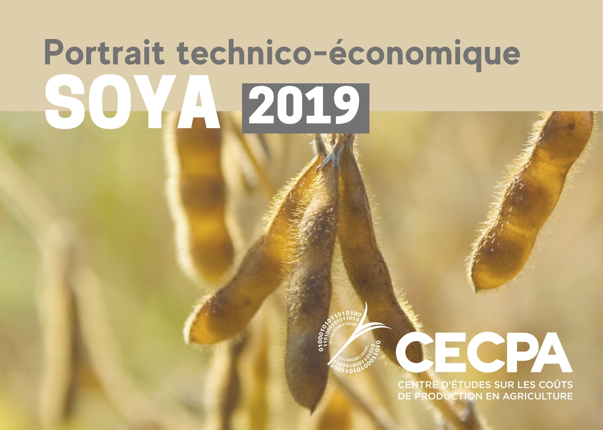 Inf. complémentaires : Étude technico-économique sur la production de Soya 2019